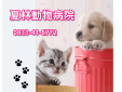 夏林動物病院