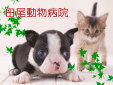 田尾動物病院