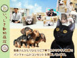 いっしき動物病院