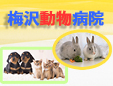 梅沢動物病院