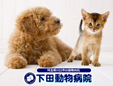 下田動物病院