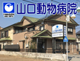 山口動物病院