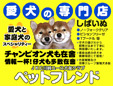 ペットフレンド