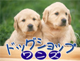 ドッグショップＷＡＮ’Ｓ